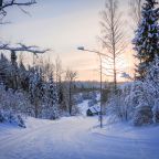 Лыжные трассы