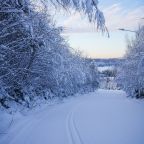 Лыжные трассы