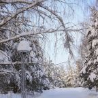 Дорога к коттеджам