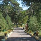 Объект находится в лесу, База отдыха Волжская деревня