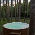 Дом (A-Frame №9 Grand), База отдыха ЗГРК Черемушки