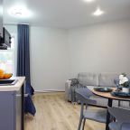 Студио (С диваном и мини-кухней), Апартаменты Vizit на Габдуллы Тукая 62А