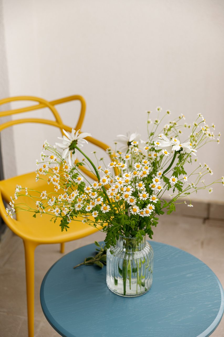 Студио (Апартаменты 060), Апартаменты Искры 88