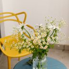 Студио (Апартаменты 060), Апартаменты Искры 88