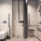 Двухместный (Номер Бизнес (подходит для маломобильных гостей)), Dion Inn Hotel & SPA