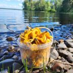 Вид на озеро, Коттедж Прозрачный берег