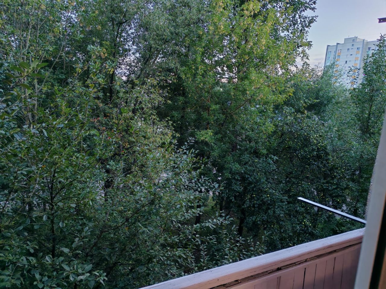 Трёхместный и более (Однокомнатная квартира на Октябрьском пер.), Апартаменты Аликорн 24 на Октябрьском