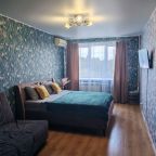 Трёхместный и более (Однокомнатная квартира в пос.МИС), Апартаменты Аликорн 24 в поселке МИС