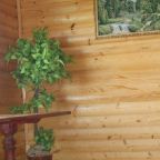 Полулюкс (Двухместный комфорт), База отдыха ОК Караидель