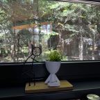 кухонная зона с видом из окна на лес