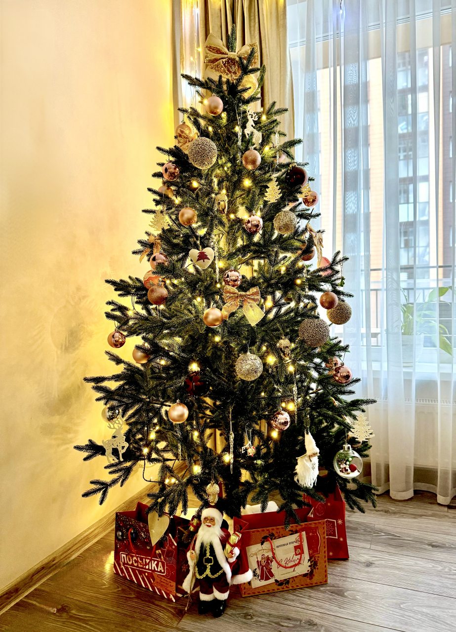 Апартаменты (Семейные апартаменты около Верхнего пруда), Апартаменты ApartMari семейные