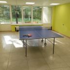 На базе можно арендовать теннисный стол с ракетками.