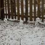 Трёхместный и более (Дом "Тихий Бор"), Коттедж Лесовик 66