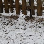 Трёхместный и более (Дом "Тихий Бор"), Коттедж Лесовик 66