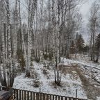 Трёхместный и более (Дом "Тихий Бор"), Коттедж Лесовик 66