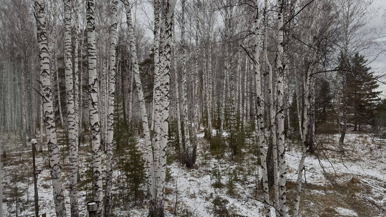 Трёхместный и более (Дом 