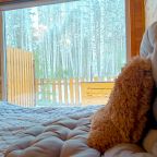 Трёхместный и более (Дом Таежный), Коттедж Лесовик 66