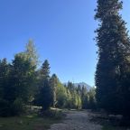 Собаки, кошки, База отдыха Тайна Гор