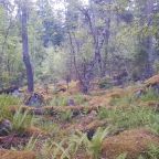 Объект находится в горах, База отдыха Тайна Гор