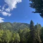 Объект находится в лесу, База отдыха Тайна Гор