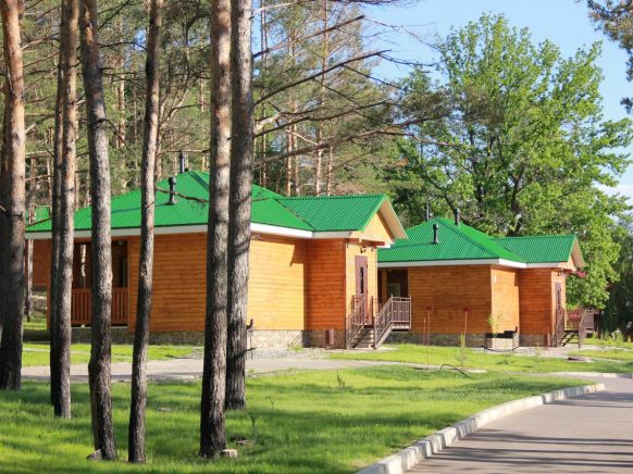 Фотография номера гостиницы Лесной