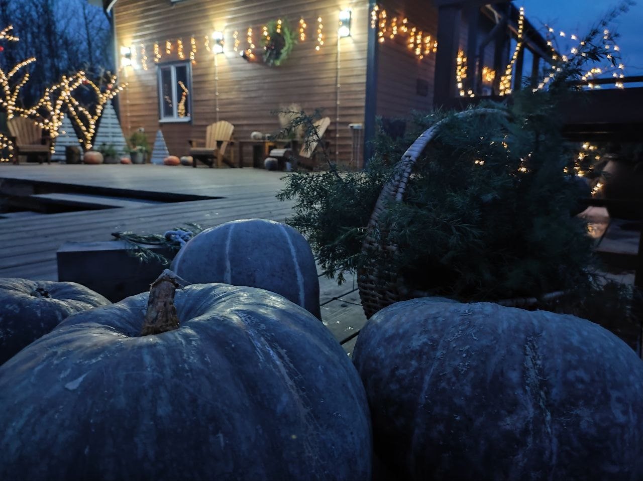 Свежий воздух, спокойствие и атмосфера загородной жизни