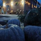 Свежий воздух, спокойствие и атмосфера загородной жизни