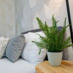 Студио (Уютная студия у Планеты), Апартаменты Современная студия у Планеты