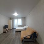 Допускается размещение домашних животных, Апартаменты Однокомнатные на переулке Светлогорский