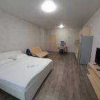 Квартира (Апартаменты переулок Светлогорский д.10 (17 этаж)), Апартаменты Однокомнатные на переулке Светлогорский