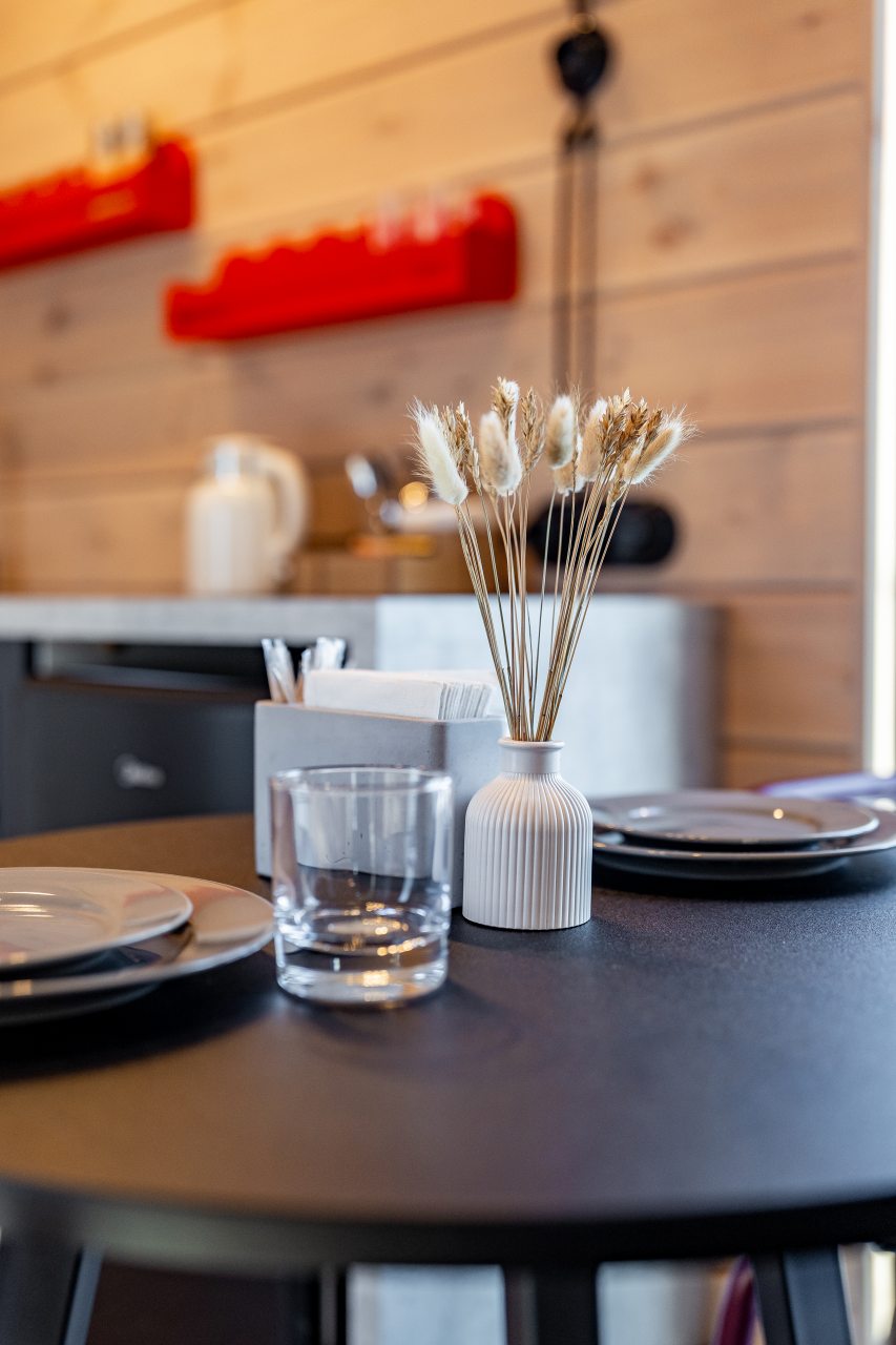 Двухместный, Гостиница Гнездо Мамонта