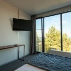 Двухместный (Номер с панорамным видом на 2м этаже), Гостевой дом ЁLKI Лебяжье