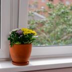 Апартаменты (Студия 2 VV Apart у метро Котельники на Строителей 1), Апартаменты VV Apart на улице Строителей