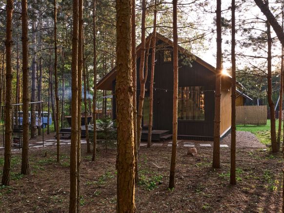 Домики в настоящем лесу, Мостище