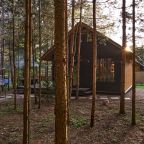 Панорамный вид, Домики в настоящем лесу