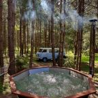 Вид на сад, Домики в настоящем лесу