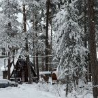 Но зима не пугает наших гостей.