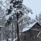 Парковка