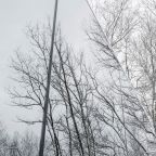 Дом (Семейный дом), База отдыха Лес