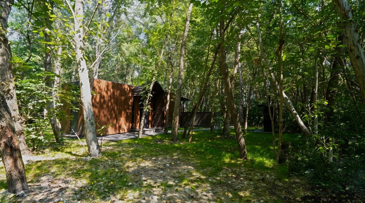 Дом (Луна), База отдыха Лес