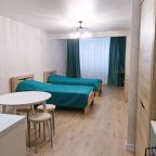 Апартаменты (Квартира студия 10), Апартаменты Комфортабельная студия в Дивном Дивеево