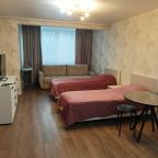 Апартаменты (Квартира- студия 50), Апартаменты Комфортабельная студия в Дивном Дивеево