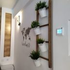 Апартаменты (Cute), Апартаменты Cute Scandy Home
