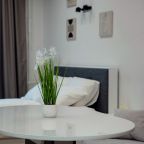 Апартаменты (Апартаменты SKY INN Grey), Апартаменты SKY INN Color Apartments