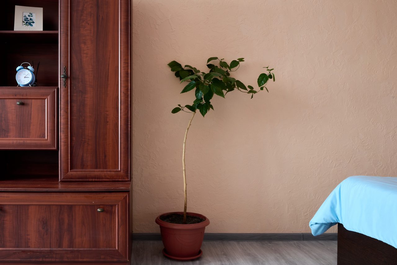 Апартаменты, Апартаменты В Узловой в центре города KenigApart