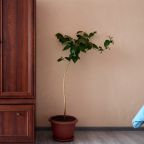 Апартаменты, Апартаменты В Узловой в центре города KenigApart