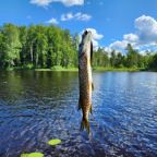 Строго по предварительному согласованию и уточнению всех деталей по питомцу, Апартаменты Прозрачный берег 2 У озера
