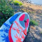 Строго по предварительному согласованию и уточнению всех деталей по питомцу, Апартаменты Прозрачный берег 2 У озера