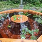 Банный чан на родниковой воде , Апартаменты Прозрачный берег 2 У озера