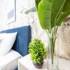 Шестиместный (Пять Звёзд Западный Луч), Апартаменты Пять Звёзд Западный Луч